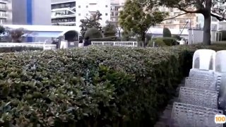 极品身材留学生细腰美乳翘臀大长腿自慰插穴诱惑